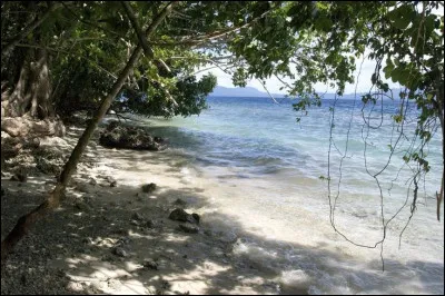 Tu es sur une &icirc;le d&eacute;serte au milieu de l'oc&eacute;an. Tu y es arriv&eacute;(e) comme par magie, ou plut&ocirc;t, tu n'as aucun souvenir de la fa&ccedil;on dont tu es arriv&eacute;(e). La seule m&eacute;moire qu'il te reste, c'est la certitude de ton pr&eacute;nom. Tu as un sac &agrave; dos, dans lequel il y a des rations de nourriture militaires, de quoi tenir environ trois jours. Sur la plage, il y a quatre objets. Lequel prends-tu ?