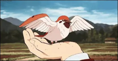 B ; C : Chuntaro !&Agrave; qui appartient-il ?
