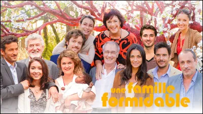 Quel est le patronyme des personnages Catherine et Jacques, interpr&eacute;t&eacute;s par Anny Duperey et Bernard Le Coq, dans la s&eacute;rie "Une famille formidable" ?
