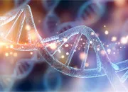 Quiz Biologie - Le stress aigu {1}