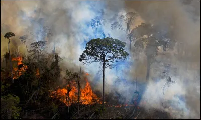 Ces informations stressantes repr&eacute;sentent diverses modifications environnementales (s&eacute;isme, canicule, agression physique&hellip;). On les appelle :
