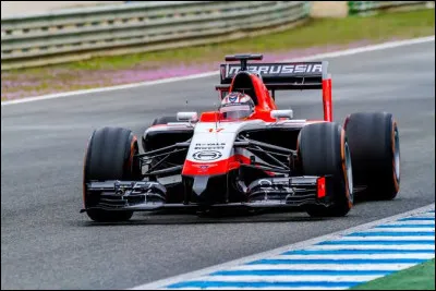 Jules Bianchi a perdu la vie &agrave; cause de son accident lors du Grand Prix du Japon 2014.