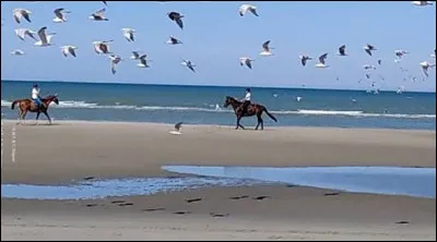Quel est ce parc situ&eacute; entre la Somme et l'Authie, &eacute;tant un parc ornithologique picard et une zone de passage d'oiseaux migrateurs ?