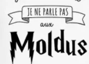 Test Sorcier ou moldu ?