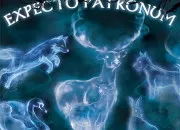 Quiz À qui appartiennent ces patronus ?