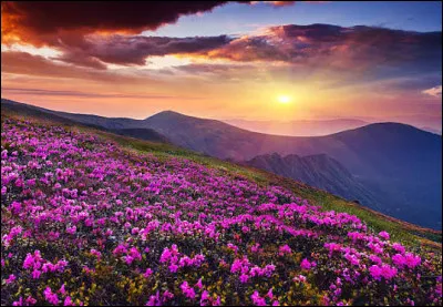 Si tu devais choisir un paysage magique pour y vivre, o&ugrave; irais-tu ?
