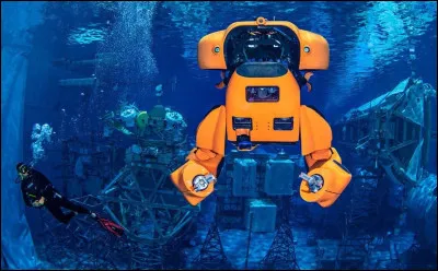 En quelle ann&eacute;e l'&eacute;pave a-t-elle &eacute;t&eacute; d&eacute;couverte par le scientifique Robert Ballard ?