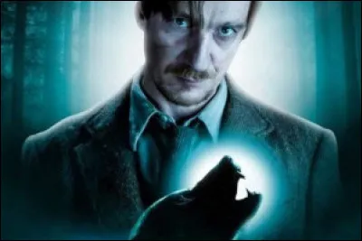 Quel personnage est un loup-garou ?