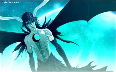 Dans Bleach, il est n&eacute; le 1er d&eacute;cembre, qui est-il ?
