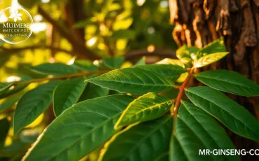 Quiz Plantes