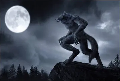 Quel roi de la mythologie grecque a &eacute;t&eacute; chang&eacute; en loup par Zeus, donnant son nom &agrave; la "lycanthropie" ?