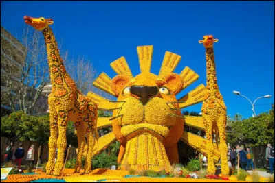 J'adore les f&ecirc;tes. J'adore le citron. Je suis au bon endroit. O&ugrave; suis-je ?