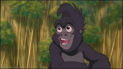 De quel c&eacute;l&egrave;bre h&eacute;ros de Disney Tokina, surnomm&eacute;e Tok, est-elle la cousine adoptive et la meilleure amie ?