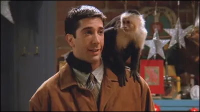 Dans quelle c&eacute;l&egrave;bre s&eacute;rie t&eacute;l&eacute;vis&eacute;e peut-on retrouver Marcel, le petit singe capucin adopt&eacute; par Ross ?