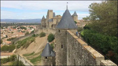 Quelle ville du Languedoc est c&eacute;l&egrave;bre pour sa citadelle m&eacute;di&eacute;vale ?