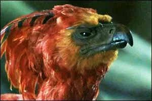 Quel est cet animal ?