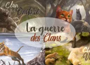 Quiz Poil d'Écureuil ou Griffe de Ronce ?