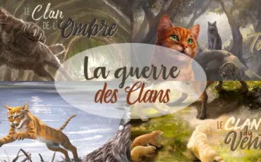 Quiz Littérature, poésie