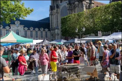 O&ugrave; vivent les Lexoviens ?