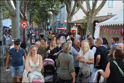 Dans quelle ville rencontrerez vous les Chauriens ?