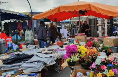 Dans quelle ville pourrez-vous rencontrer les Balbyniens ?