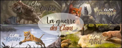 Comment s'appellent les deux premiers apprentis du Clan du Ciel ?