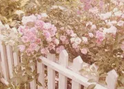 Quiz Qui est représenté sur ce fanart ? (K-pop)