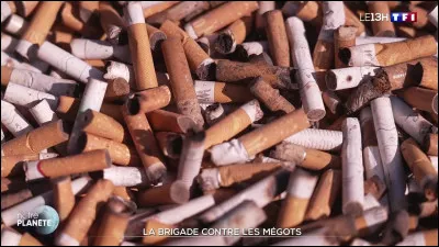 Que deviennent la majorit&eacute; des m&eacute;gots de cigarette jet&eacute;s par terre en ville ?