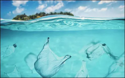 Combien de temps met un sac en plastique classique pour se d&eacute;grader dans la nature ?