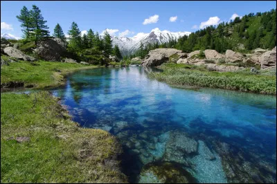 Qu'est-ce que l'eutrophisation d'un cours d'eau ?