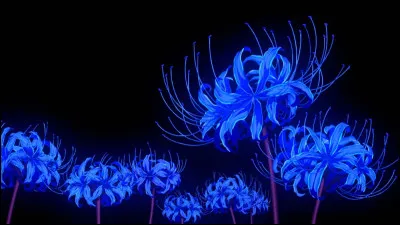 B - Quel est le nom anglais du lycoris bleu ?