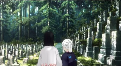 D - Que signifie "Demon Slayer" ?