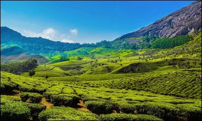 Le paysage typique de l'&Eacute;tat du Kerala est constitu&eacute; de montagnes, collines et plantations de th&eacute;. Dans quel pays sommes-nous ?
