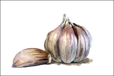 Quel est ce l&eacute;gume ?