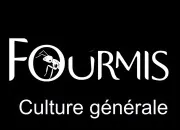 Quiz Fourmi