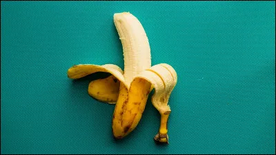 Mais c&rsquo;est quoi sur l&rsquo;image ?