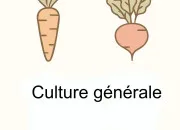 Quiz Carotte, navet