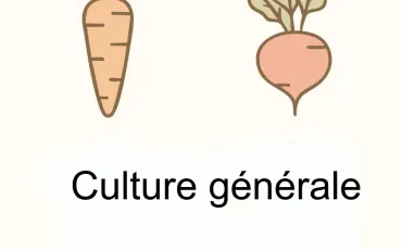 Quiz Culture générale