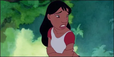 Lilo Pelekai est une petite fille hawa&iuml;enne d'environ cinq ans, orpheline et marginale, qui partage sa vie entre le deuil de ses parents et sa passion pour Elvis Presley. Qui adopte-t-elle ?