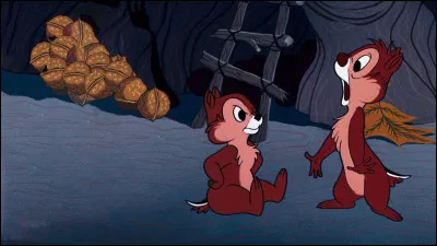 Tic est le chef du duo, plus intelligent, s&eacute;rieux et r&eacute;fl&eacute;chi. Qui est l'autre ?