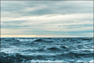 Dans quel film, Leonardo DiCaprio joue-t-il le r&ocirc;le de Jack Dawson ?
