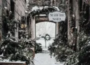 Test Quelle saison es-tu ?