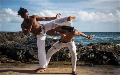 Quel est le nom de cet art-martial du Br&eacute;sil ?