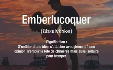 Quiz Decouvertes
