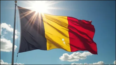 Laquelle de ces villes n'est pas situ&eacute;e en Belgique ?