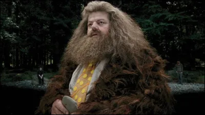 Tout a commenc&eacute; le 6 septembre 2023, quand on s'amusait, mon fr&egrave;re et moi, &agrave; faire des tests de personnalit&eacute; "Qui es-tu dans Harry Potter ?". Qui est ce personnage issu de cette c&eacute;l&egrave;bre saga de sorciers ?