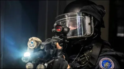 Quel r&ocirc;le jouent les r&eacute;seaux sociaux dans la strat&eacute;gie de l'EI ?