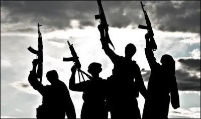 Quel type de violence syst&eacute;matique l'EI n'exerce-t-il pas contre les populations civiles ?