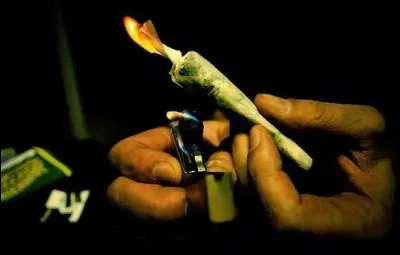 Quel toxique peut provoquer une insuffisance h&eacute;patique aigu&euml; en cas de surdosage ?