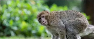 De qui &Eacute;pine est-il amoureux ?